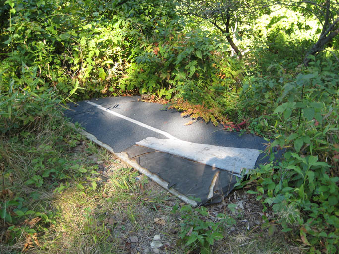 Artificial Cover